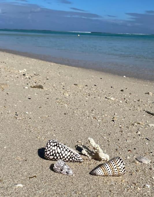 Villa La Playa Pieds Dans L'Eau Lagon + Piscine แซ็งต์-จีลส์-เลส์-แบ็งส์ ภายนอก รูปภาพ